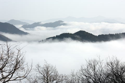 冬景色