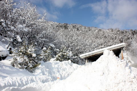 施設の雪
