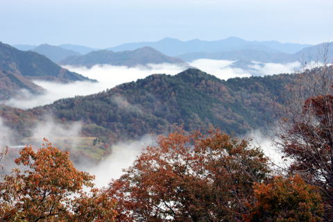 雲海