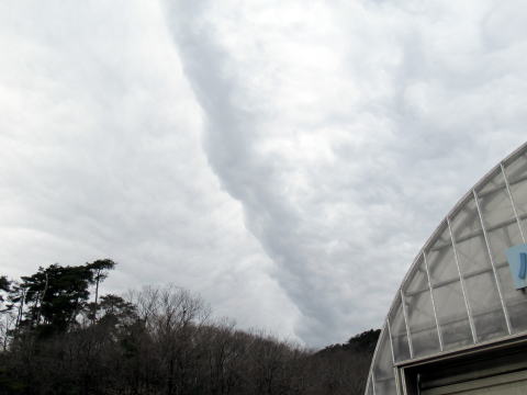 雲