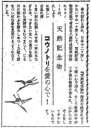 コウノトリに関する記事