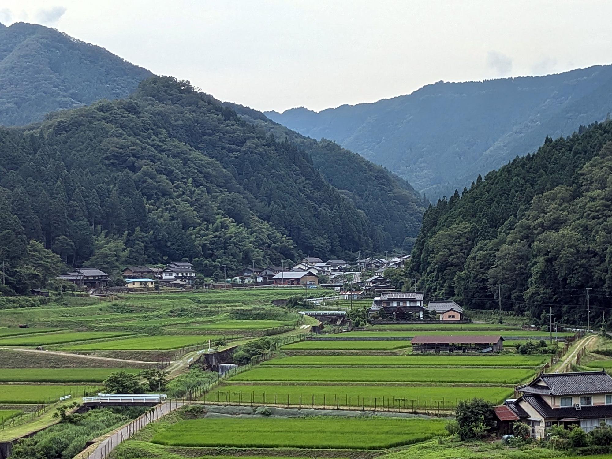 厳島神社からみた三谷