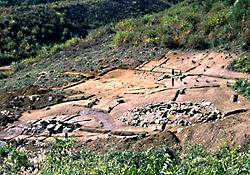 発掘調査区の全景
