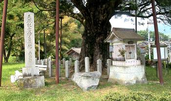 ヒダリマキガヤの下に建てられた祠