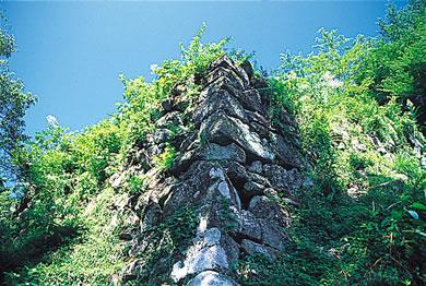 八木城跡の写真