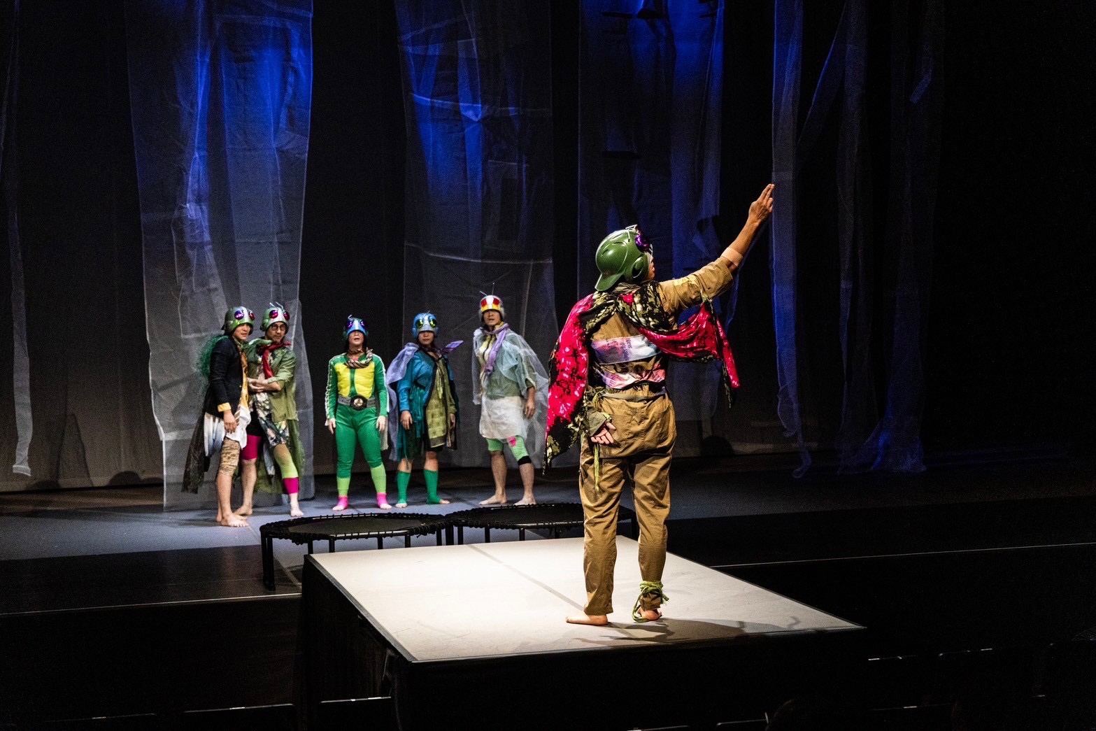 キリギリスとアリ